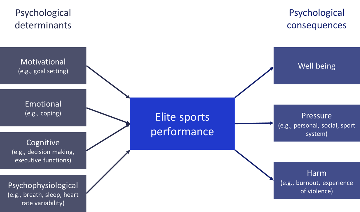Psychological determinants and consequences of elite sports performance.