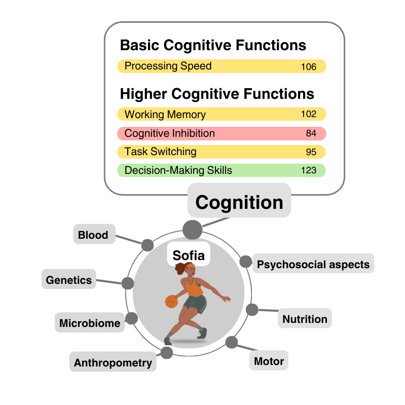 Image 1: Multidisciplinary measures for athlete development with a particular focus on cognitive functions 