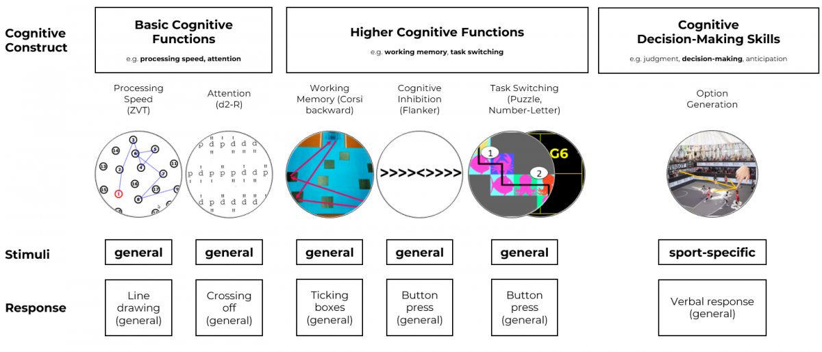 Image 2: Illustration of cognitive functions and the way they are assessed in the project