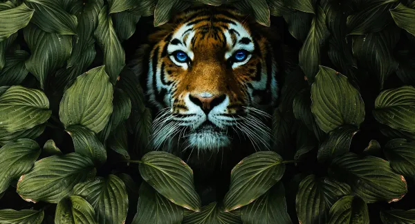 Negativity Bias: It’s Not All About Evolution!